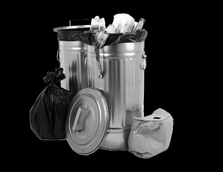 Professional waste management for businesses